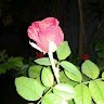 R Sruthi
