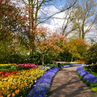 Maureen McKenna MA, MBA, CHRL