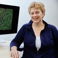 Laura van 't Veer