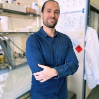 Jordi Mestre Ventura