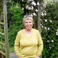 Ann Hindley