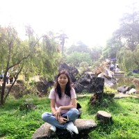Dinh Tuyet
