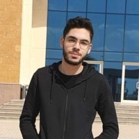 Mohamed Beshir