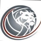 volley Prelapino