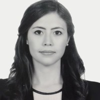 Carolina I. Contreras