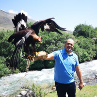 محمد عبدالفتاح العنزي
