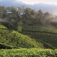 Dileep Pottamkulam