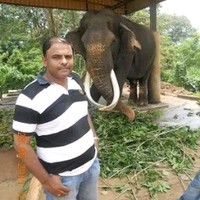 Rajan Padmanabhan