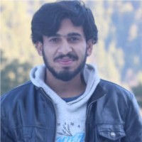 Muhammad Pervaiz