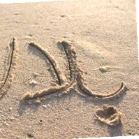 Muhammad Bilal Qureshi