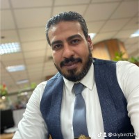 Hisam Yousef