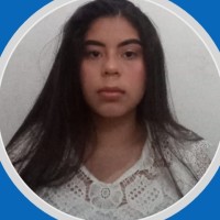 Ana Lívia Oliveira B. Silva