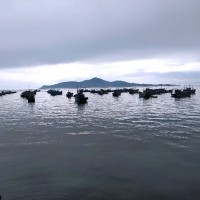 孙晓飞
