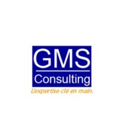 GMS Consulting