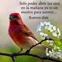 Cristina Moreno Castro