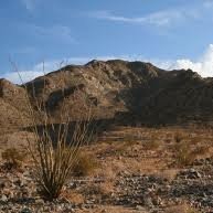 Desert Hill Property Ventures