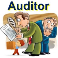Auditor Kwena