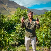 Joel E. Bocanegra Tijero