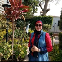 Rasha Farouk