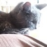 mimie smolders