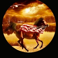 Misty M. Murray, CVBA, APS, BSLS