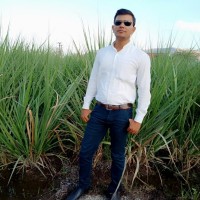 Vishal Pande