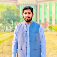 Hasnain Muavia
