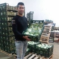Mohammad Emami