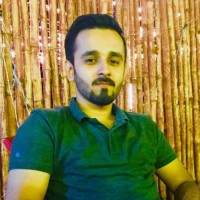 Hafiz M. Salman Ali