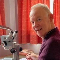 Stuart Andrews