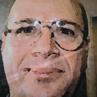 Kamil kurt