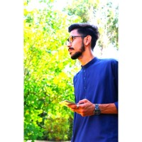 Syed Muhammad Hanzala