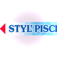 STYL'PISCINES CHAMPFORGEUIL