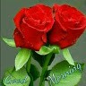 Sadaqat Sarwar