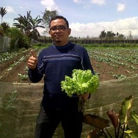 Muhammad Abduh Putra Panjaitan