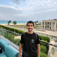 Mahmoud Hesham