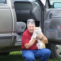 Sue Knox LCdr (Ret'd) CD, PLog, FF&J