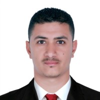 mahmoud elsayed