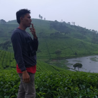 Bayu Ari
