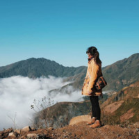 Duong Minh Hoa