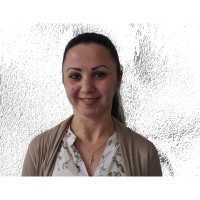 Yildiz T.