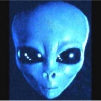 Frank Alien