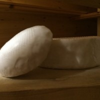 Ольга Шевченко