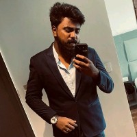 Kaushik Pranav S