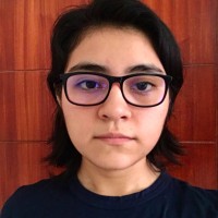 Yvette Flores Castillo