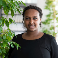 Redi Biratu
