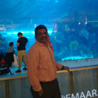Anand Vadivel