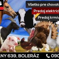 Miriam Roščáková