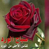 Siham Abbassi