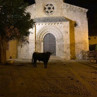 Filiberto gonzlez h.